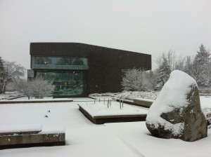 Snowy Library 2013