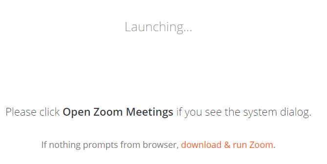 Zoom "Launching" window