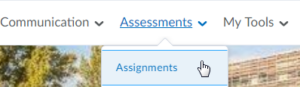 The Brightspace Assessments menu with Assignments selected