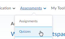 The Assessments menu with the pointer over Quizzes