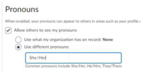 The Pronouns screen under Brightspace account settings.