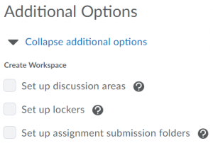 the Additional Options area under group category creation settings