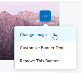 the Banner Settings menu, with "change image" selected