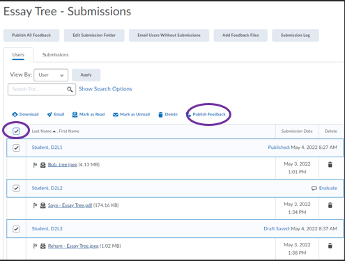 Screenshot of the Assignment Submissions window with Publish Feedback and the Select All checkbox highlighted.