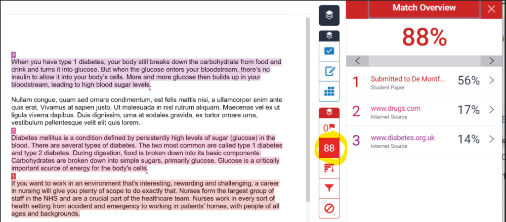 screenshot of a Turnitin Similarity Report, with submitted text on the left and the report panel on the right