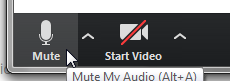 The bottom left corner of a window with two icons: Mute, with an image of a microphone, and Start Video, with an image of a video camera, which is crossed out with a red line, indicating that the video is inactive.