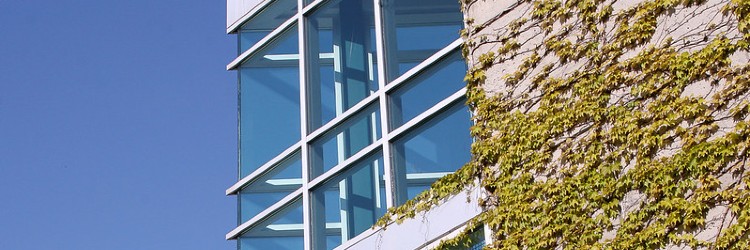 Close-up on the corner of a building. There are vines growing on the outside walls, and a large window. The sky is completely blue with no clouds.